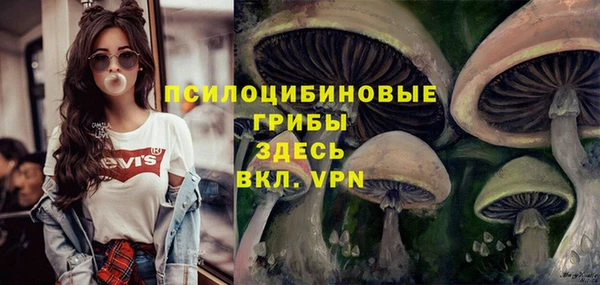 марки lsd Покачи