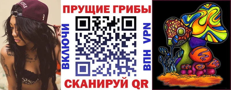Галлюциногенные грибы Psilocybe  МЕГА ссылка  Сычёвка 